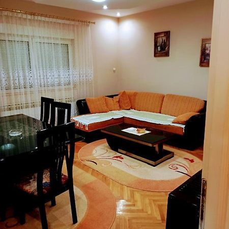 Appartamento Stan Na Dan J & M Vrsac Esterno foto