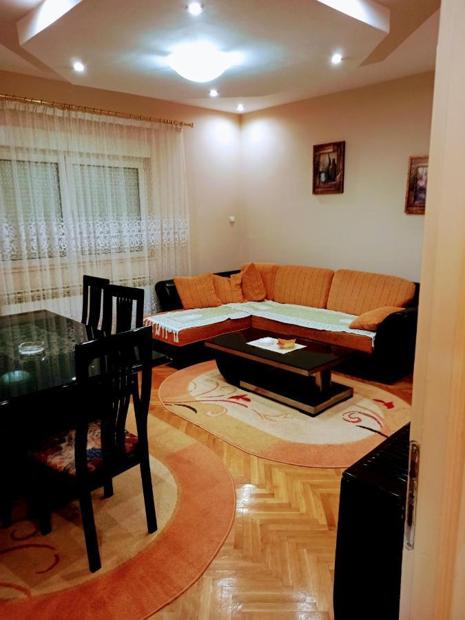 Appartamento Stan Na Dan J & M Vrsac Esterno foto