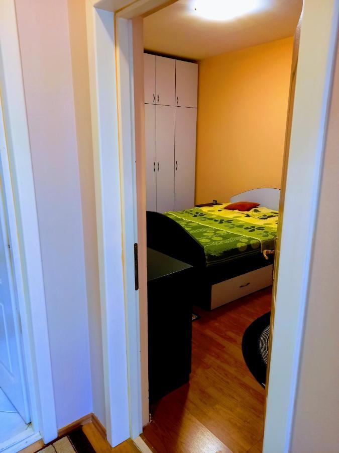 Appartamento Stan Na Dan J & M Vrsac Esterno foto