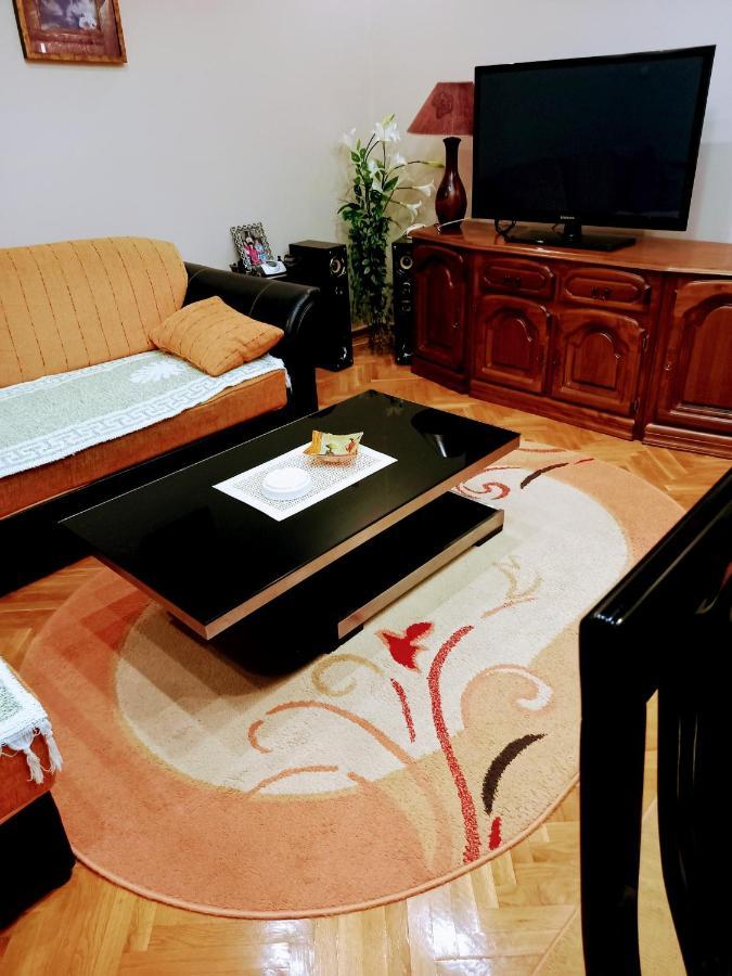 Appartamento Stan Na Dan J & M Vrsac Esterno foto