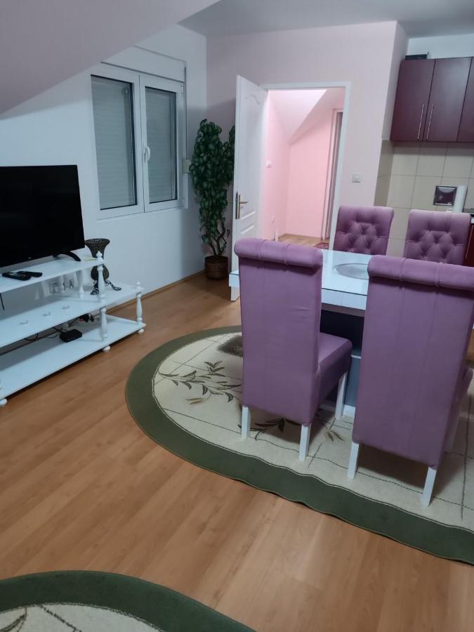 Appartamento Stan Na Dan J & M Vrsac Esterno foto