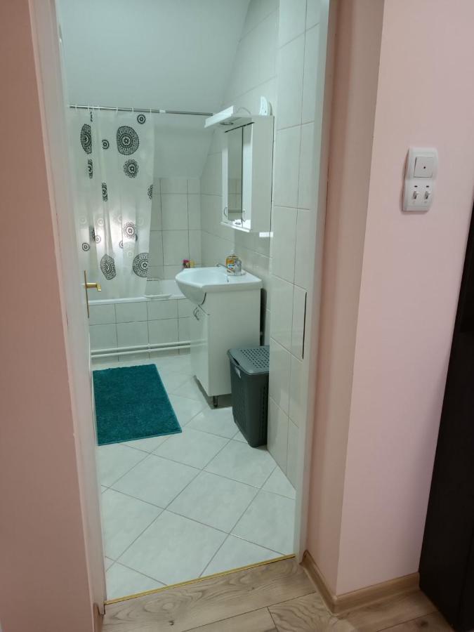 Appartamento Stan Na Dan J & M Vrsac Esterno foto