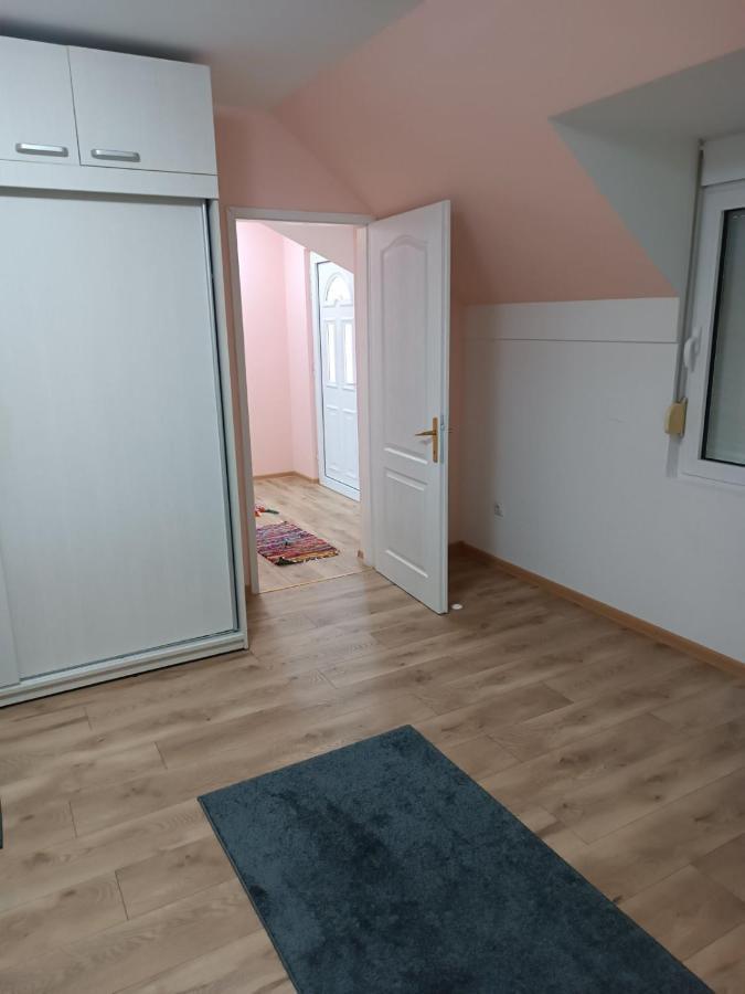 Appartamento Stan Na Dan J & M Vrsac Esterno foto