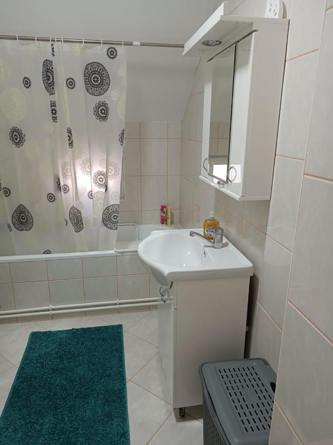 Appartamento Stan Na Dan J & M Vrsac Esterno foto