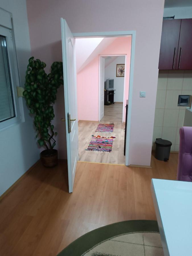 Appartamento Stan Na Dan J & M Vrsac Esterno foto